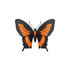 Fototapeta premium Vibrant butterfly with black and orange wings, white isolated background. isolated on transparent background.