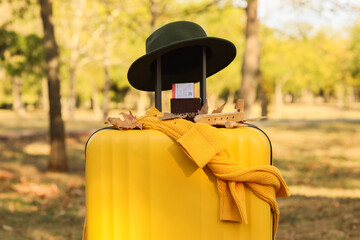 Suitcase with autumn leaves, passport and wooden plane in park, closeup