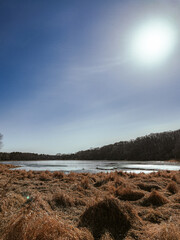 frozen lake in the morning