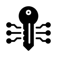 Encryption Key glyph icon