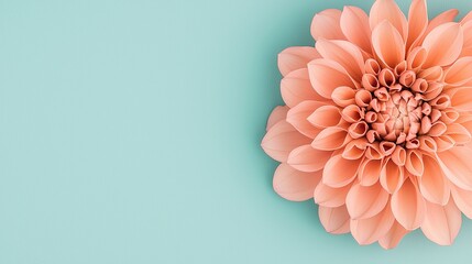 A soft peach flower rests against a calming turquoise background, creating a serene and elegant composition.