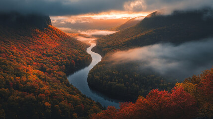 A river with a forest on either side