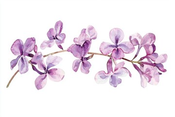 Obraz premium A beautiful watercolor painting of purple orchids featuring delicate petals and graceful curves, perfect for floral decor.