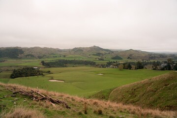 Obraz premium Lush Green Fields in Rural New Zealand - Scenic Countryside Landscape