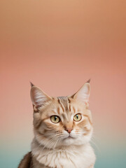 A cat sits against a plain background