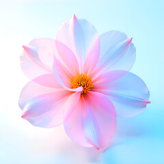 Obraz premium pink lotus flower