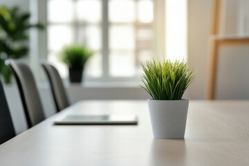 A serene indoor space featuring a lush green potted plant on a minimalist table with natural light streaming through the windows