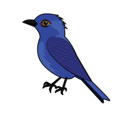 blue bird cartoon vector isolated