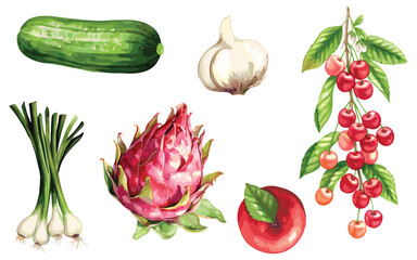 Vegetable Vector Elements, Vegetable Watercolor Illustration isolated on white background