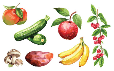 Vegetable Vector Elements, Vegetable Watercolor Illustration isolated on white background