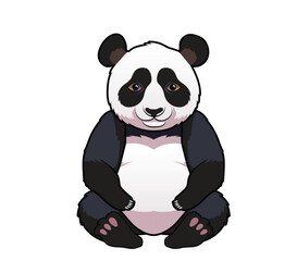panda cartoon vector isolated