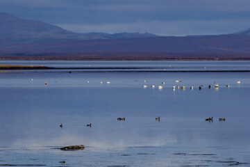 Flood plains in Alaska