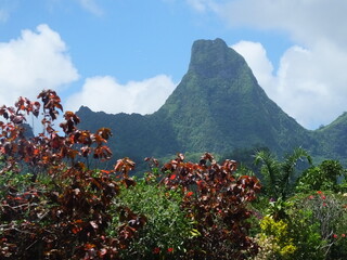 Moorea Polyn&eacute;sie