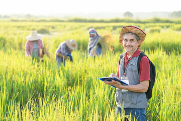 portrait agronomist or researcher writing paperwork on clipboard while interview a farmer for collect data background blurred farmers harvesting in paddy field