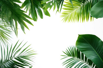 Lush green palm leaves framing a blank white space, ideal for nature-themed designs.
