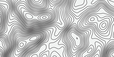 Abstract Topographic background White&Blank  Topographic Simple Map Design  