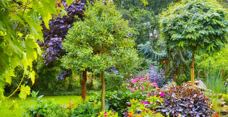 Nature, garden and environment with trees by plants for sustainability, growth and travel destination. Outdoor, ground and walking trail with greenery for natural, eco friendly and park for vacation