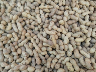 close up of peanuts