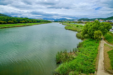 Obraz premium Upriver View of Taehwagang River with Lush Riverbanks