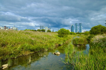 Fototapeta premium Taehwa River Wetlands with City Skyline