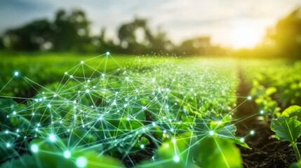 CO2 in agriculture enhancing crop yields, modern farms utilizing carbon to boost growth, lush green visuals, stock photos