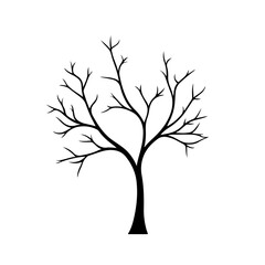 Obraz premium Tree with Bare Branches