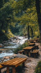 Serene Creek with Charming Wooden Benches