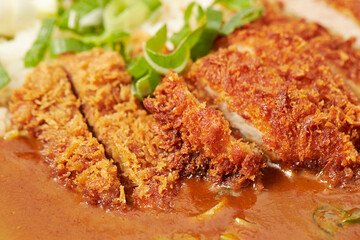 Pork cutlet with delicious Curry sauce on a plate 