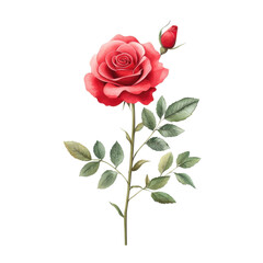 Obraz premium An abstract colorful red rose, isolate on white background, showcasing dynamic shapes and hues. PNG