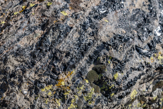 Obsidian Cliff, Yellowstone National Park , Wyoming.  Obsidian is a naturally occurring volcanic glass formed when lava extruded from a volcano cools rapidly with minimal crystal growth.  igneous rock