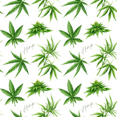 Cannabis sativa and indica herb leaves, flowers, stem seamless pattern on white background. Hemp medicinal plant watercolor illustration. Cannabis plant green leaf element seamless pattern design