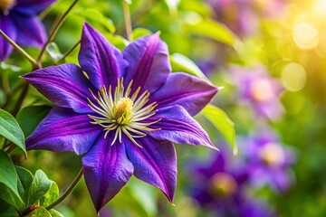 Delicate Purple Blue Clematis Flower in Sunny Spring Garden - Candid Floral Photography