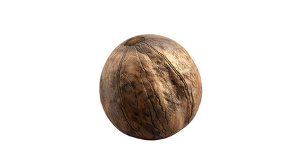 nut transparent background png