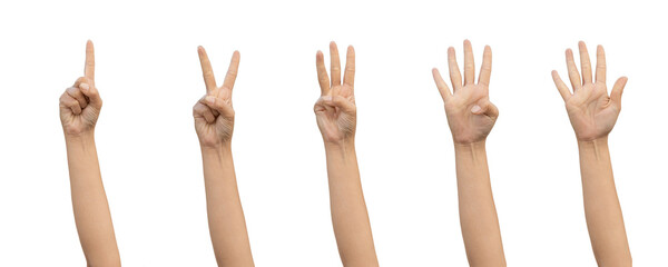 PNG of Closeup Beautiful female hand count from one to five gestures Isolated on blank white background. Set of woman palms raised fingers gesture numbers concept for people thumbnail. transparent png