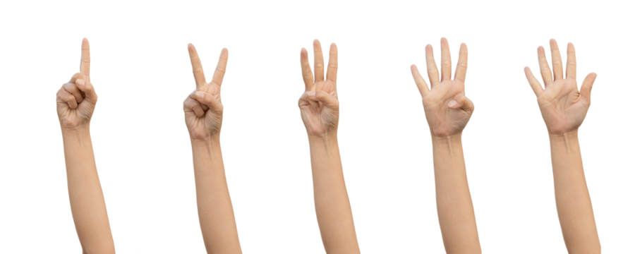 PNG of Closeup Beautiful female hand count from one to five gestures Isolated on blank white background. Set of woman palms raised fingers gesture numbers concept for people thumbnail. transparent png