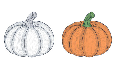 Pumpkin Hand drawn with Black and White and Color.