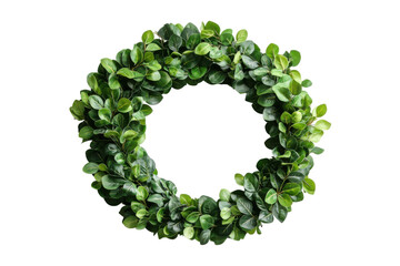 Green decorative wreath with artificial leaves.