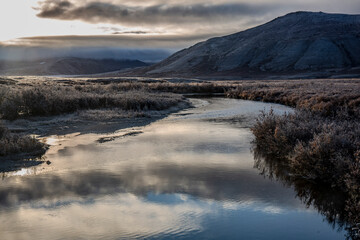 reflection in the water