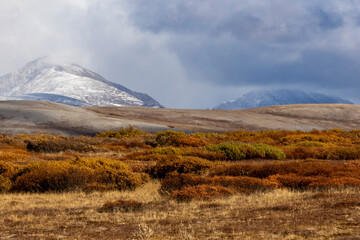 landscape in autumn