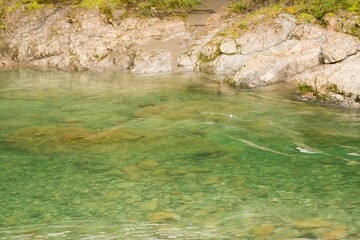 River Shoreline with Smooth Rocks and Pebbles