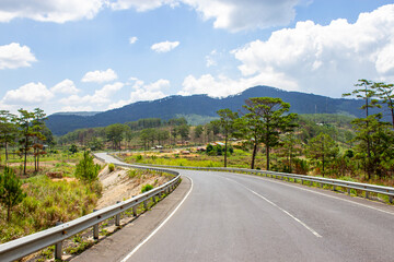 A Beauty Road Through Pine Forest In Lam Dong Province, Vietnam.