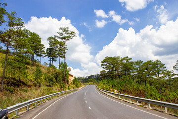 A Beauty Road Through Pine Forest In Lam Dong Province, Vietnam.