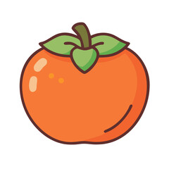 fuyu persimmon vector illustration, fruit vector art