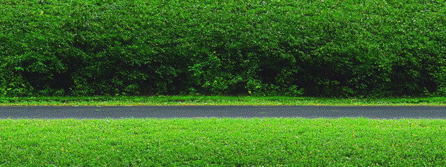 Seamless, Seamless Lush green grass and vibrant hedges beside a smooth road on a sunny day.