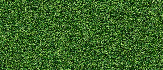 Fototapeta premium Seamless, Seamless Vibrant green grass texture on a white isolate background.