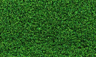 Obraz premium Seamless, Seamless Vibrant green grass texture, natural background for design and decoration.