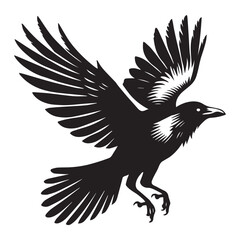Obraz premium American crow Silhouette Design - American crow Bird Vector illustration in black and white 