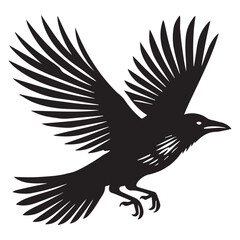 Obraz premium American crow Silhouette Design - American crow Bird Vector illustration in black and white 
