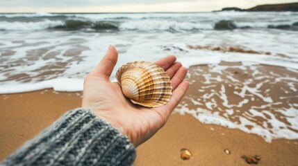 Obraz premium A seashell held in a hand with the ocean in the background. AI.