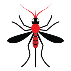 Infectious Anopheles mosquito graphic vector on white background